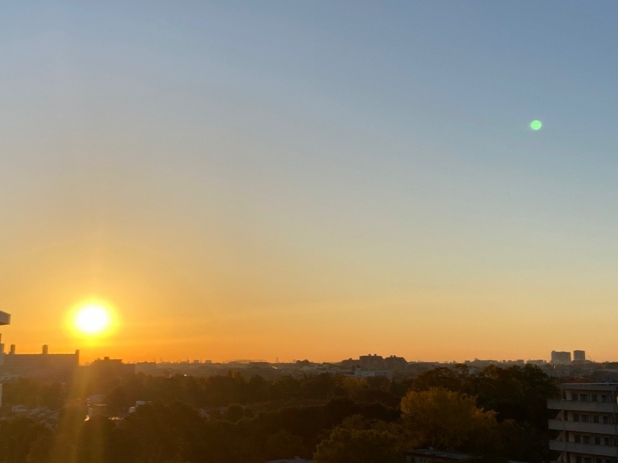 今朝の朝日　眩しくて目をぱちくり　まさにおはようございます