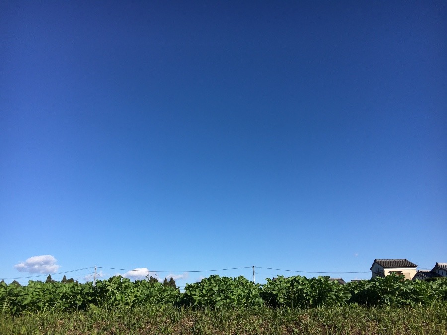 ⭕️空部→ 今日の空（≧∇≦）‼️927.