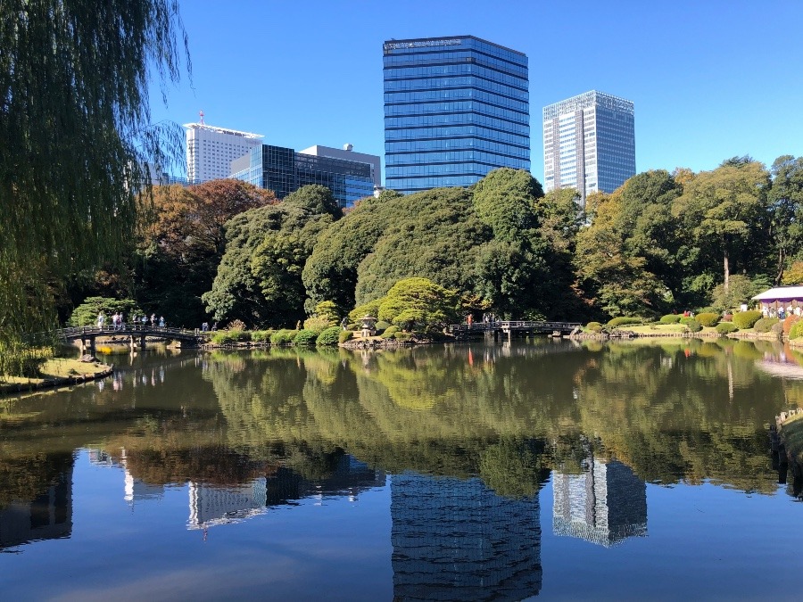 新宿御苑の中へ