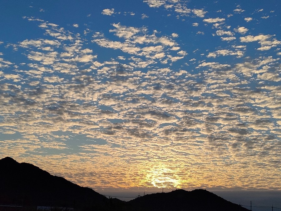 今朝は雲がモクモクと楽しい空です