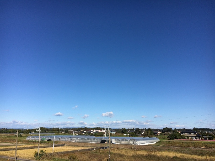 ⭕️空部→ 今日の空（≧∇≦）‼️929.