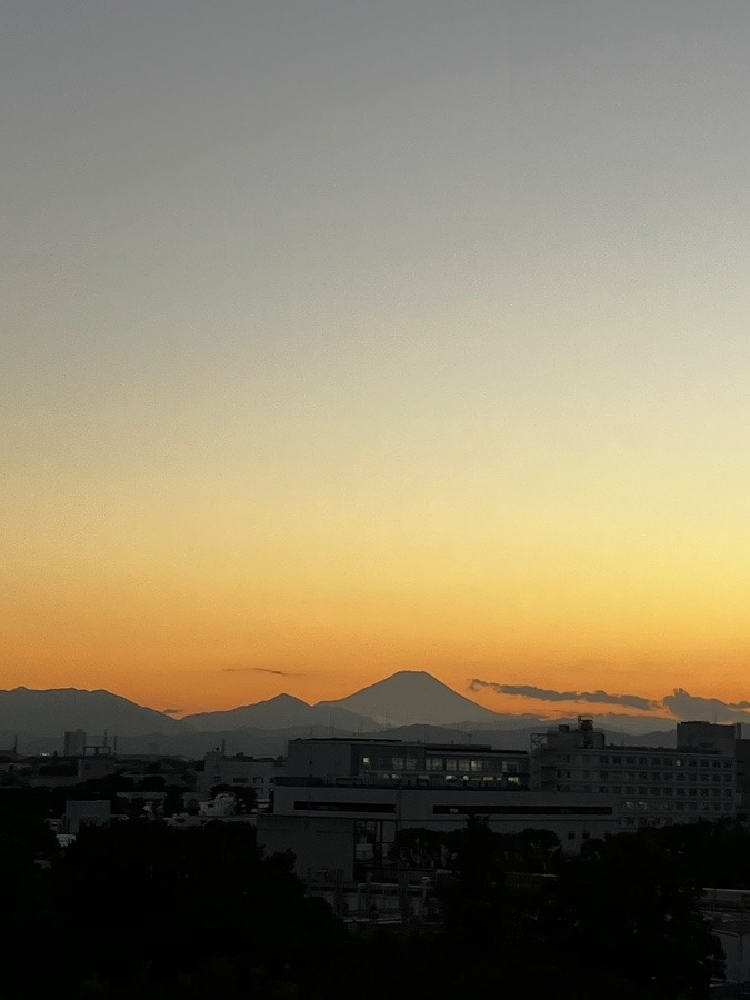 昨日夕方の富士山　お久しぶりです