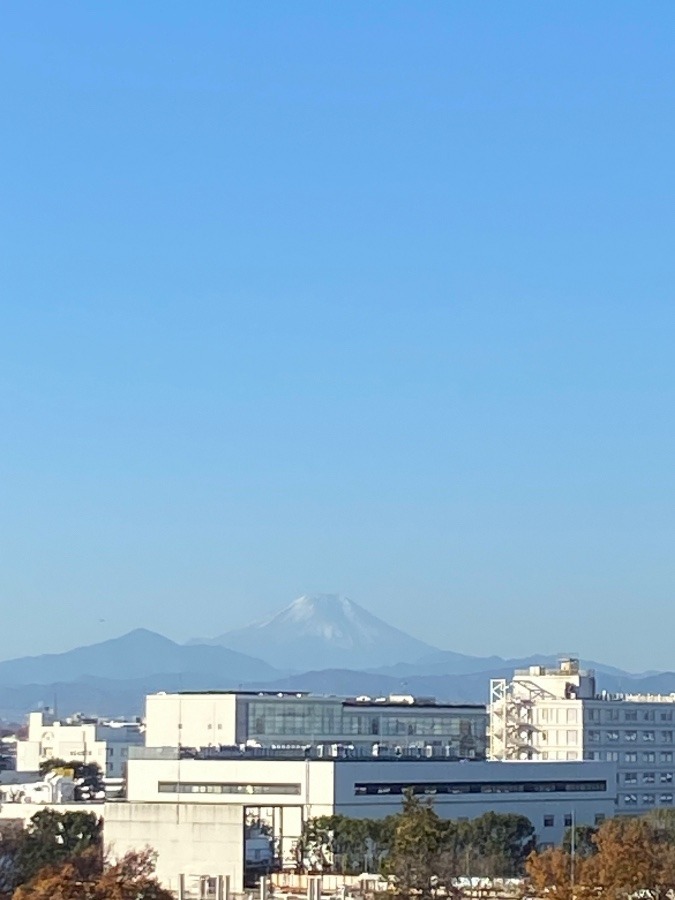 今朝の富士山