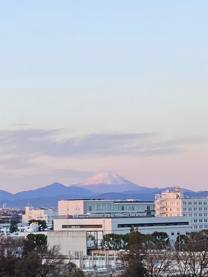 今朝の富士山