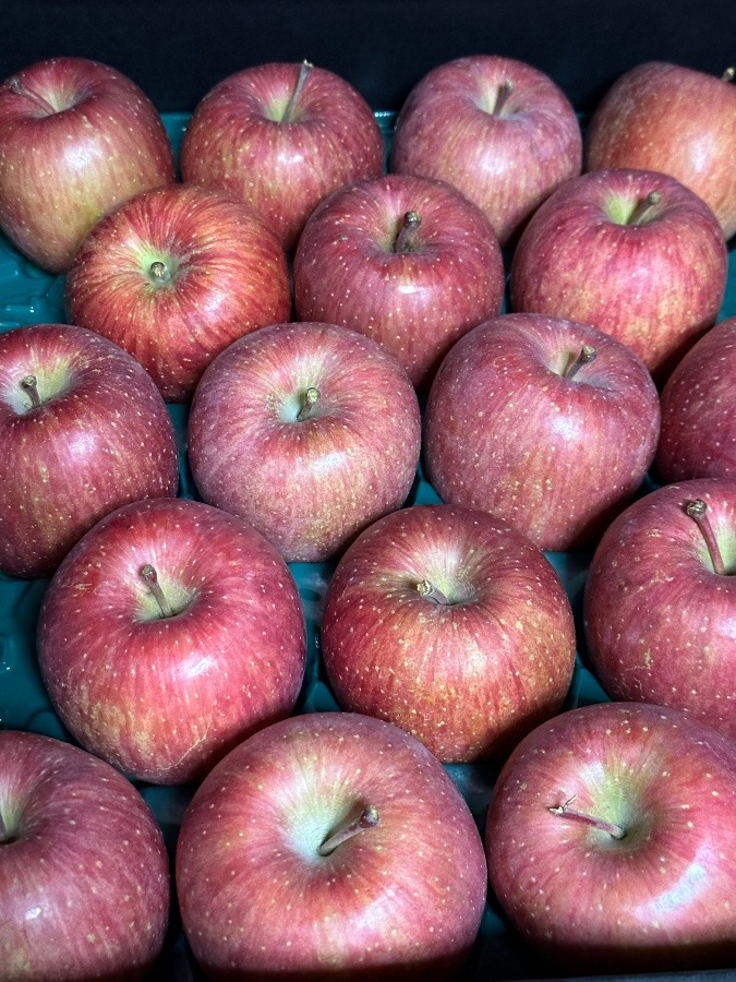 リンゴ🍎のプレゼント