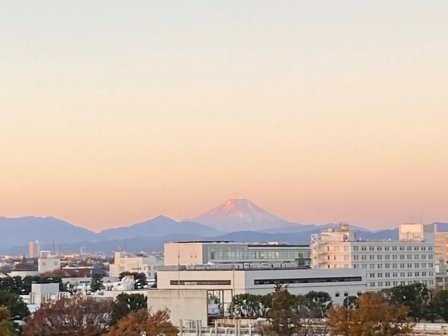 今朝の富士山