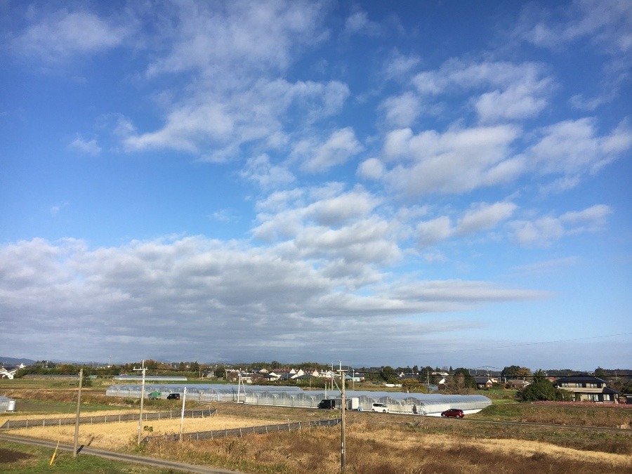 ⭕️空部→ 今日の空（≧∇≦）‼️1001.