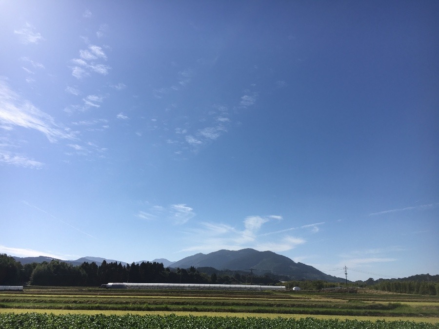 ⭕️空部→ 今日の空（≧∇≦）‼️964.