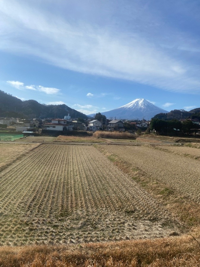 富士山いろいろ　田園風景と富士山