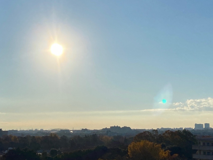 東のお日様と紅葉の林