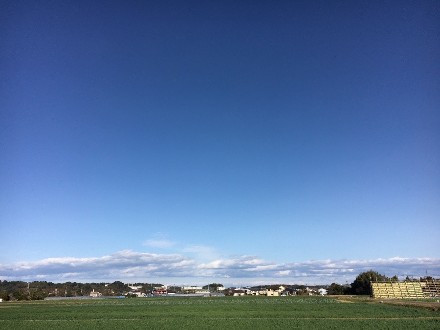 ⭕️空部→ 今日の空（≧∇≦）‼️975.