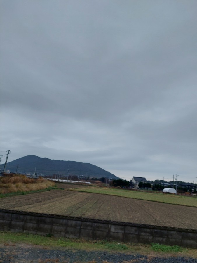 おはようございます12/19