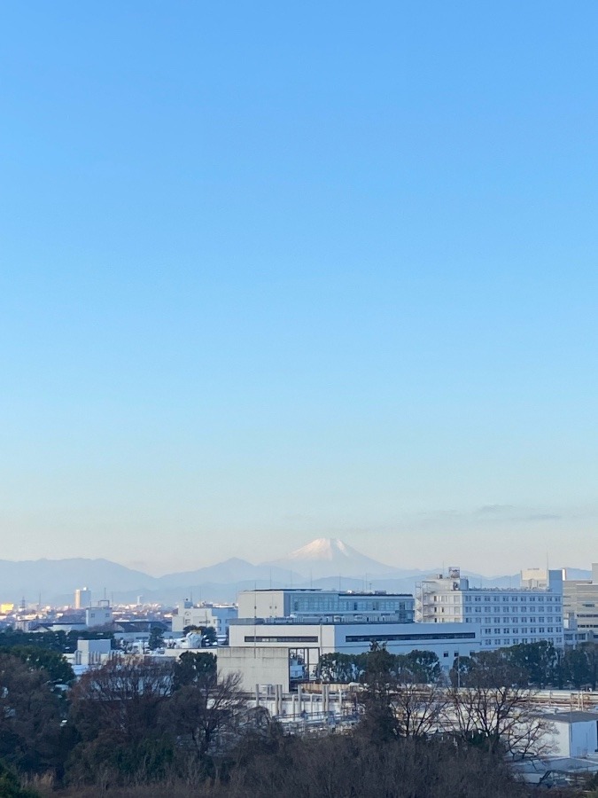 今朝の富士山