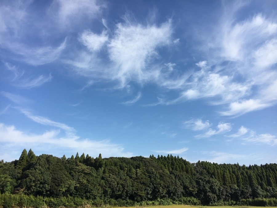 ⭕️空部→ 今日の空（≧∇≦）‼️957.