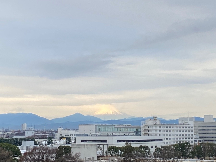 今朝の富士山