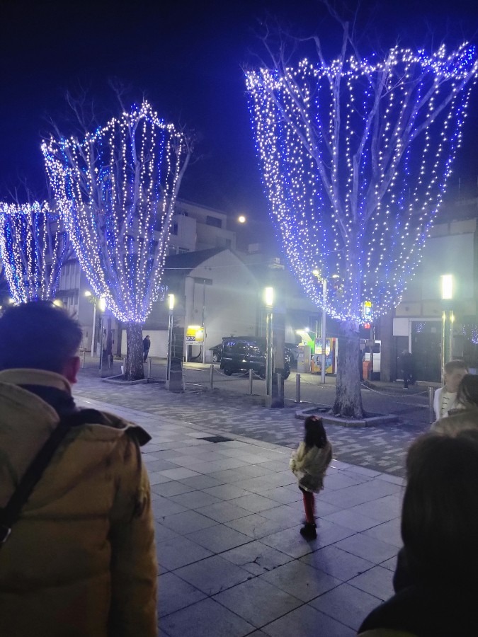 昨夜のイルミネーションと月