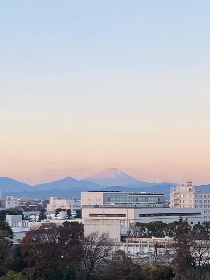 今朝の富士山