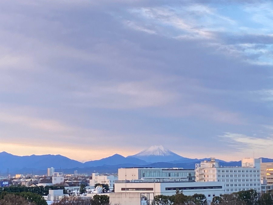 今朝の富士山