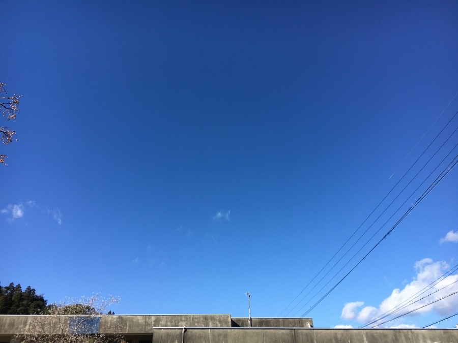 ⭕️空部→ 今日の空（≧∇≦）‼️985.