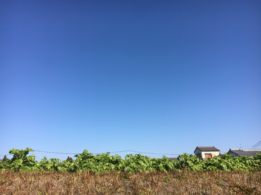 ⭕️空部→ 今日の空（≧∇≦）‼️997.