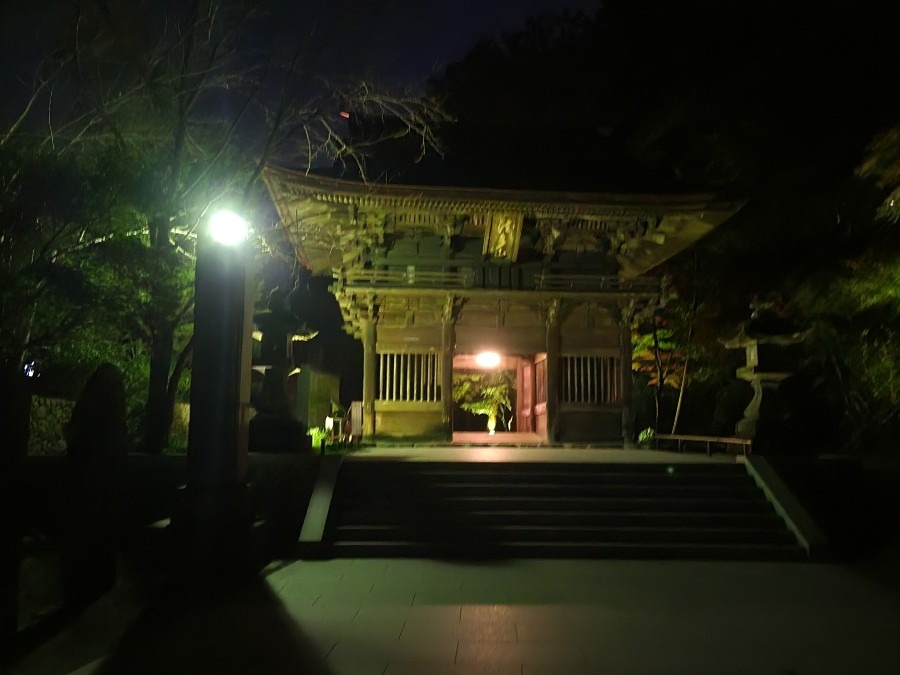 法多山尊永寺もみじまつり2023㉑