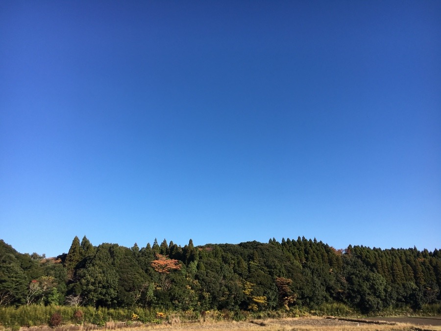 ⭕️空部→ 今日の空（≧∇≦）‼️993.