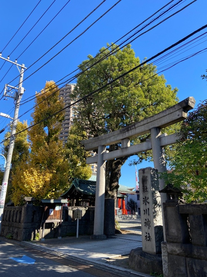 麻布氷川神社への参拝は、私の月間行事