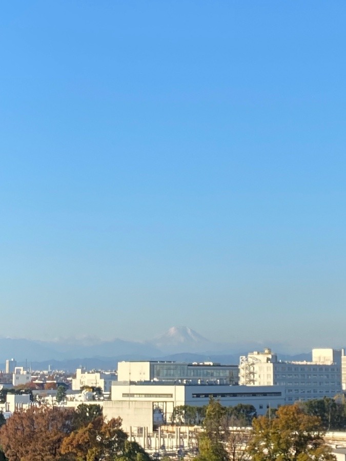 今朝の富士山