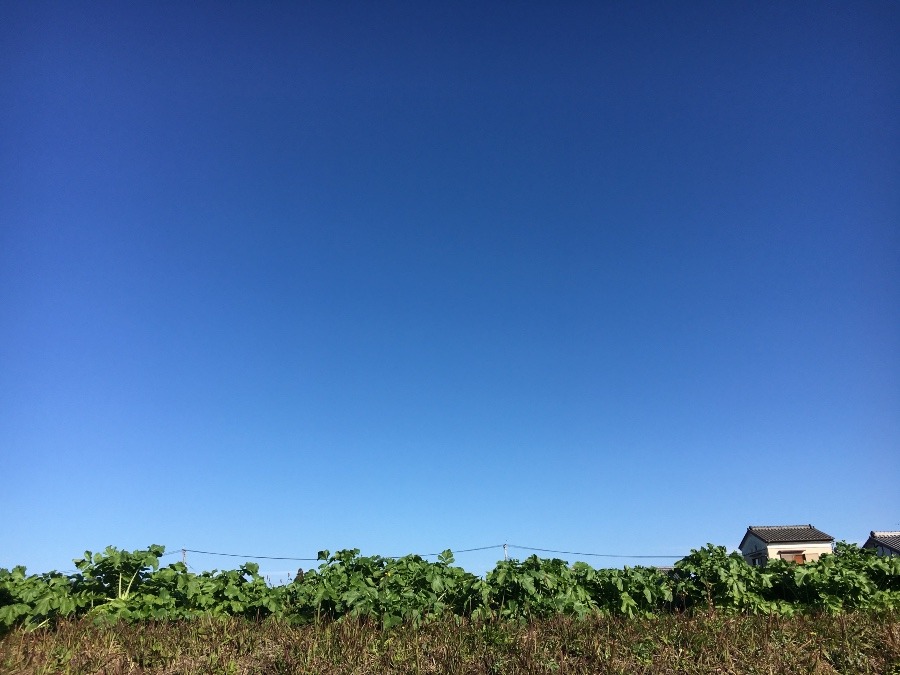 ⭕️空部→ 今日の空（≧∇≦）‼️983.