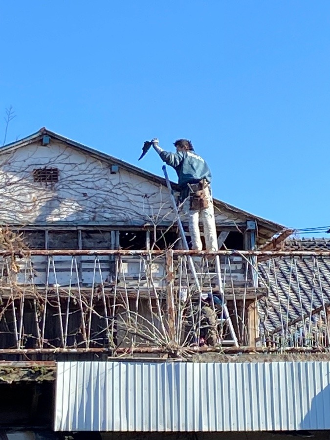 解体物語　屋根のトタンを剥がす　あっと落ちないで