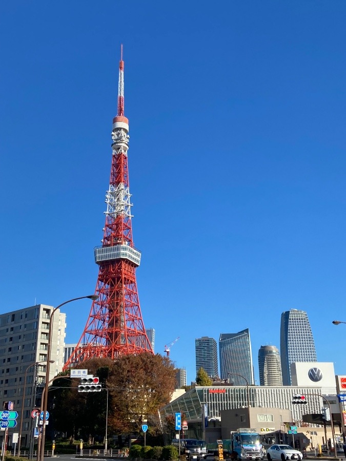快晴の東京タワー　空のブルーと赤のなだらかなラインが美しい