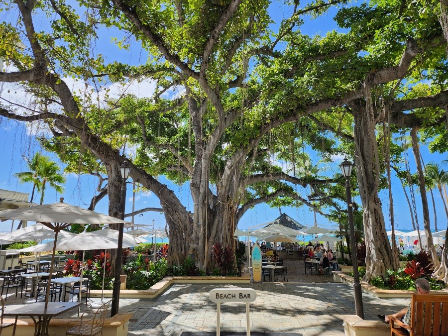 『The Beach Bar at Moana Surfrider』