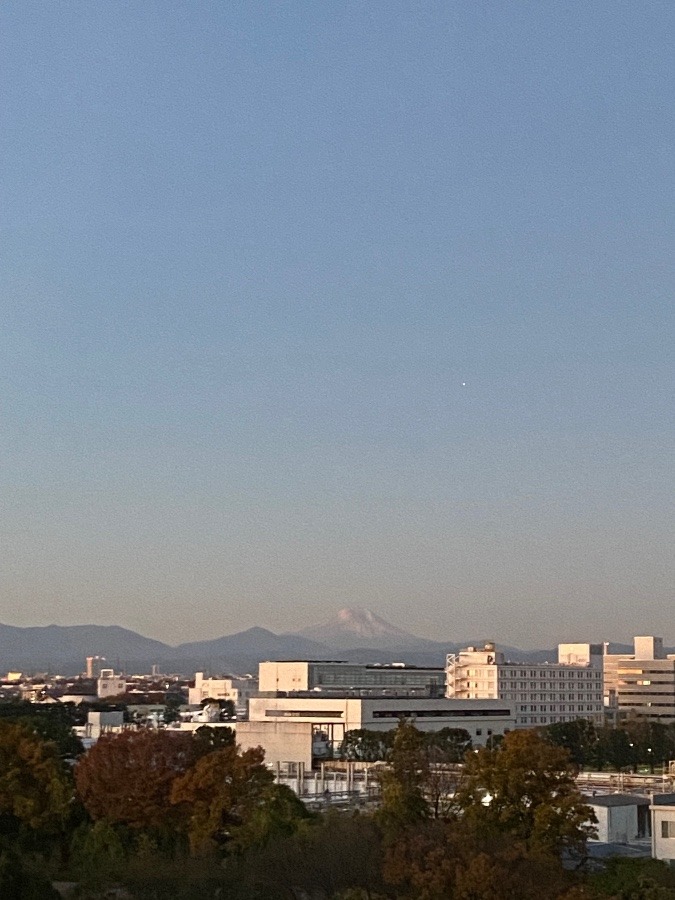 今朝の富士山