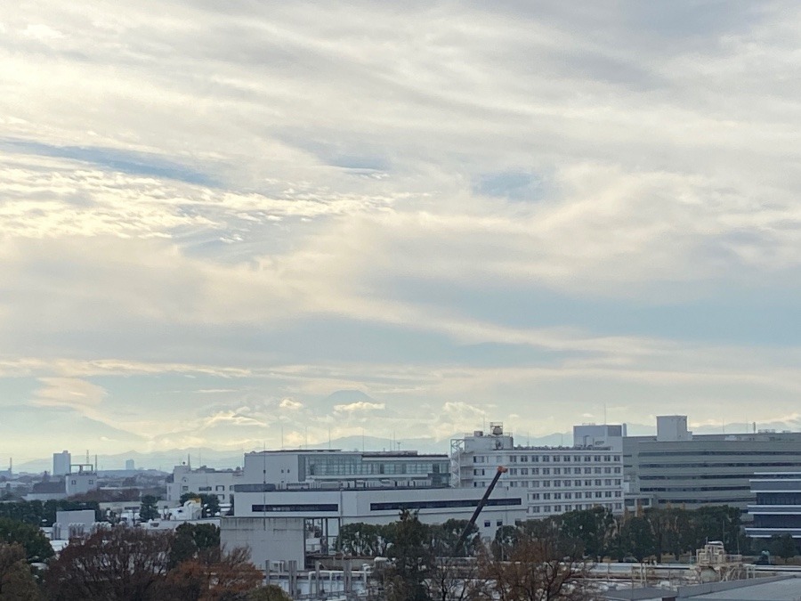 今日の富士山