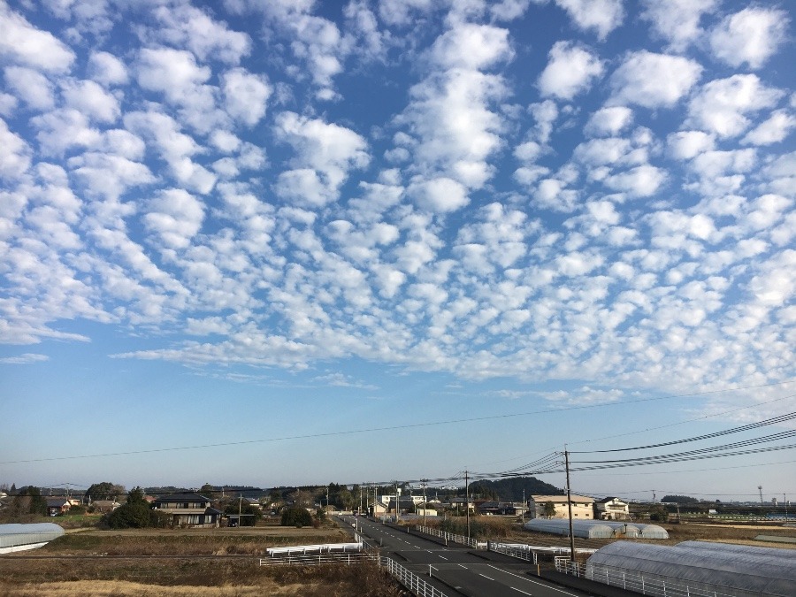 ⭕️空部→ 今日の空（≧∇≦）‼️995.