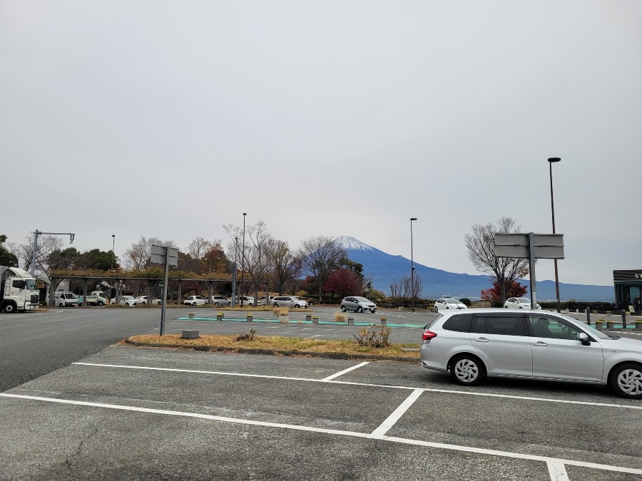 昨日の富士山