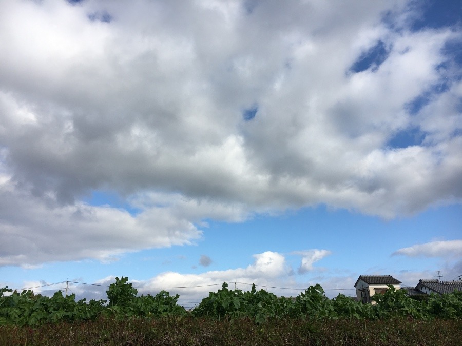 ⭕️空部→ 今日の空（≧∇≦）‼️966.