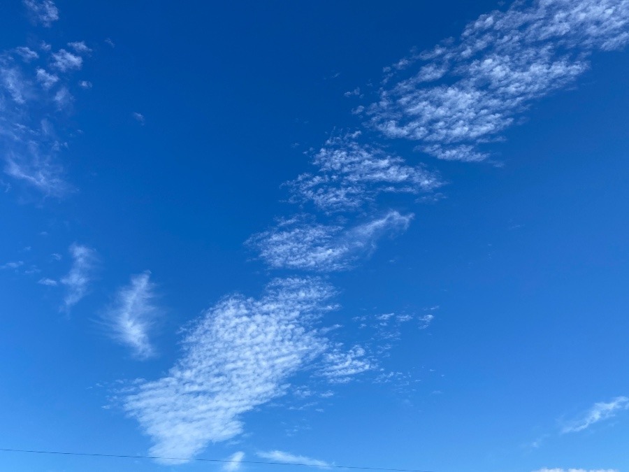 千葉県いすみ市の空