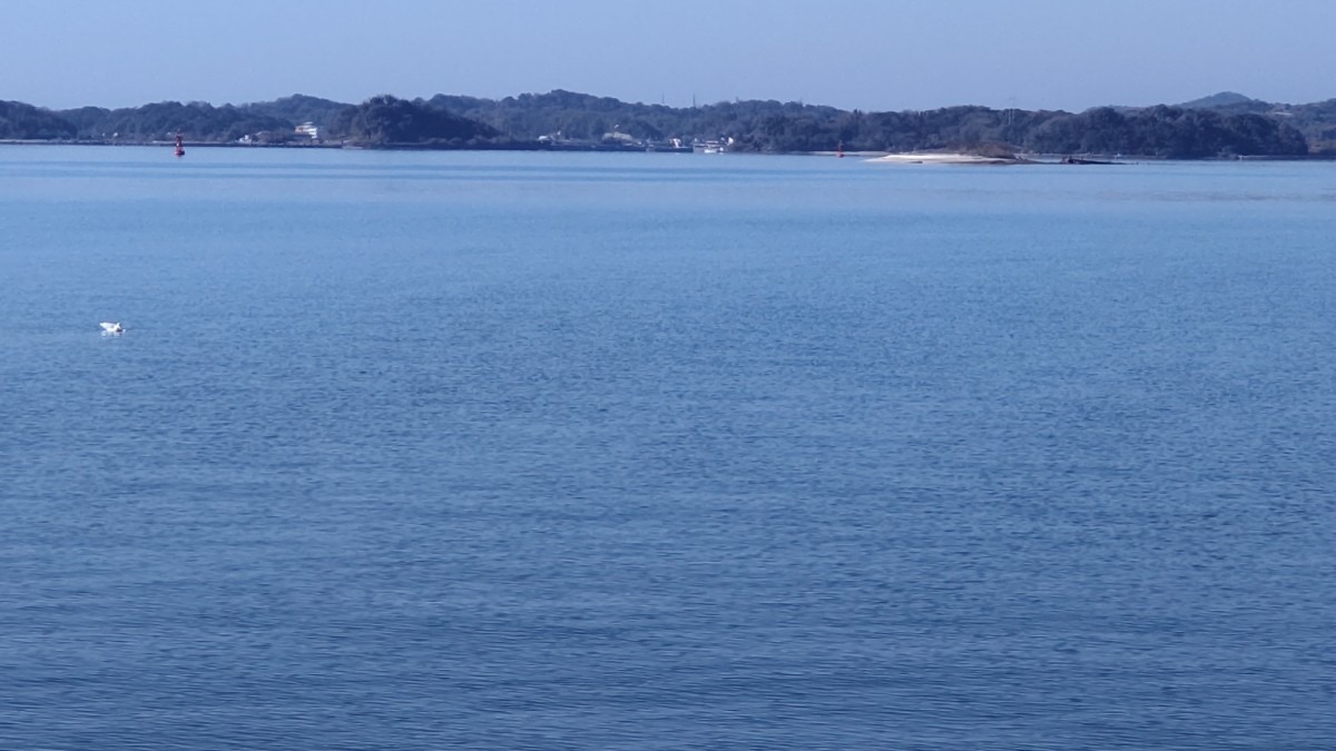 穏やかな海