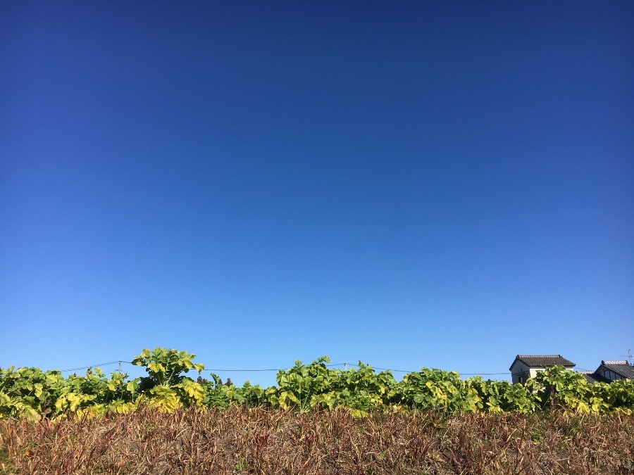 ⭕️空部→ 今日の空（≧∇≦）‼️1021.