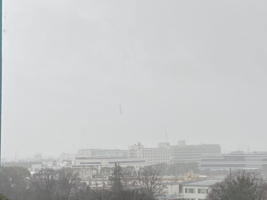 今朝の富士山　白い雲と雨の中に隠れています