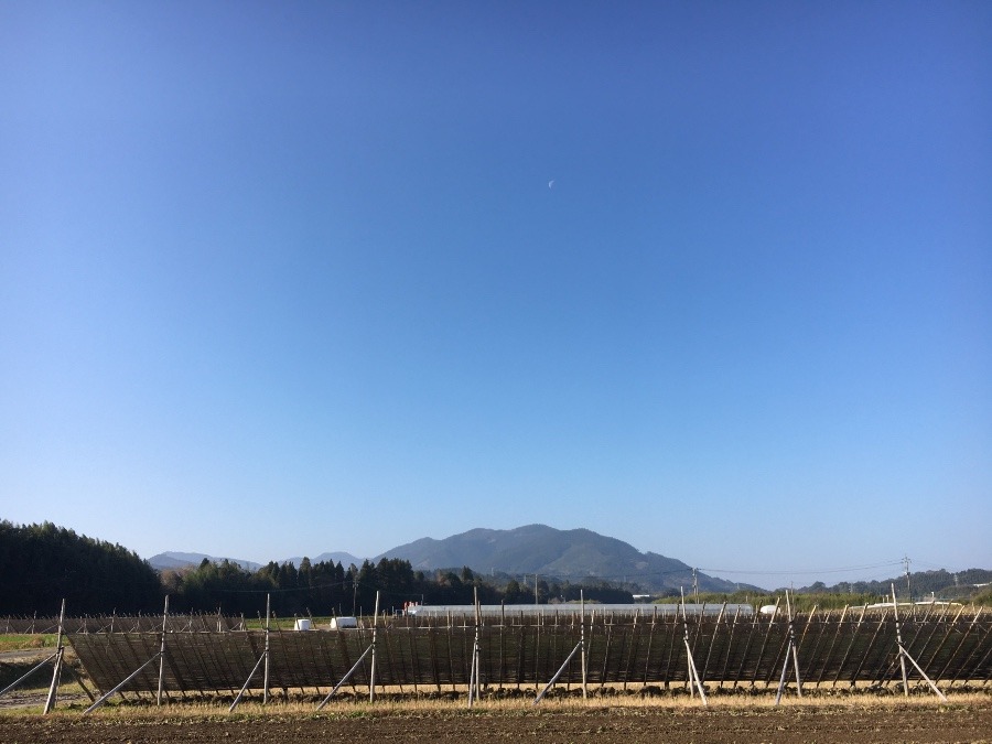 ⭕️空部→ 今日の空（≧∇≦）‼️1008.