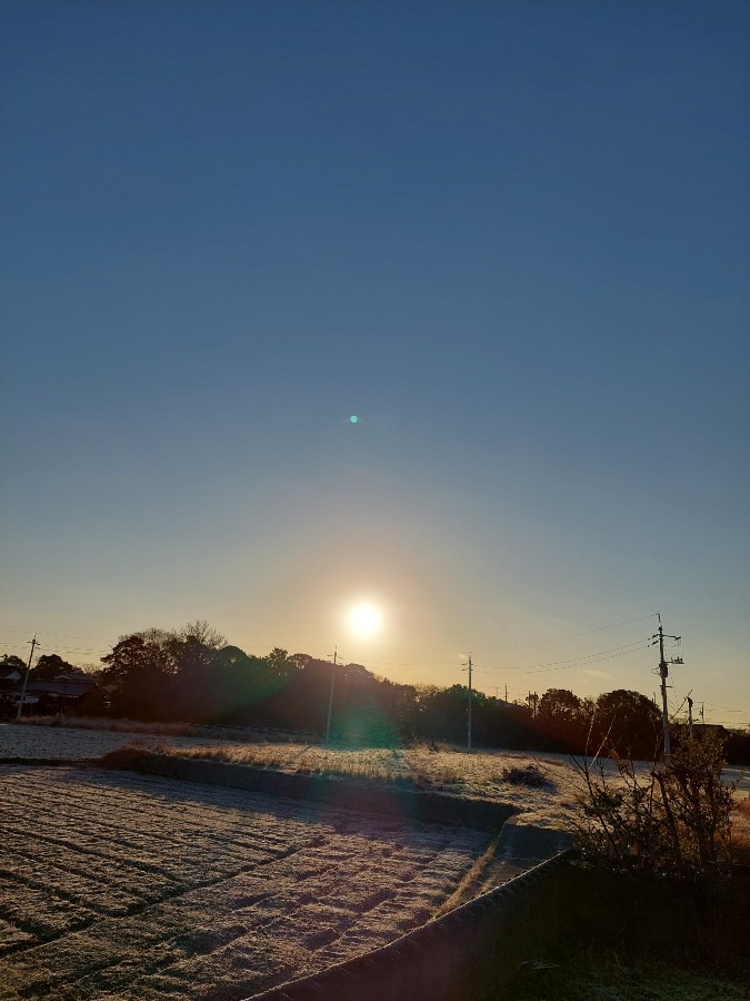 おはようございます1/14