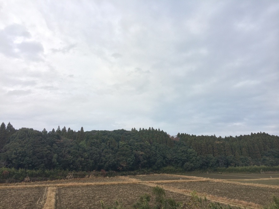 ⭕️空部→ 今日の空（≧∇≦）‼️1029.