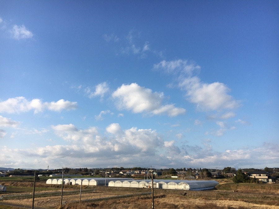 ⭕️空部→ 今日の空（≧∇≦）‼️1042.