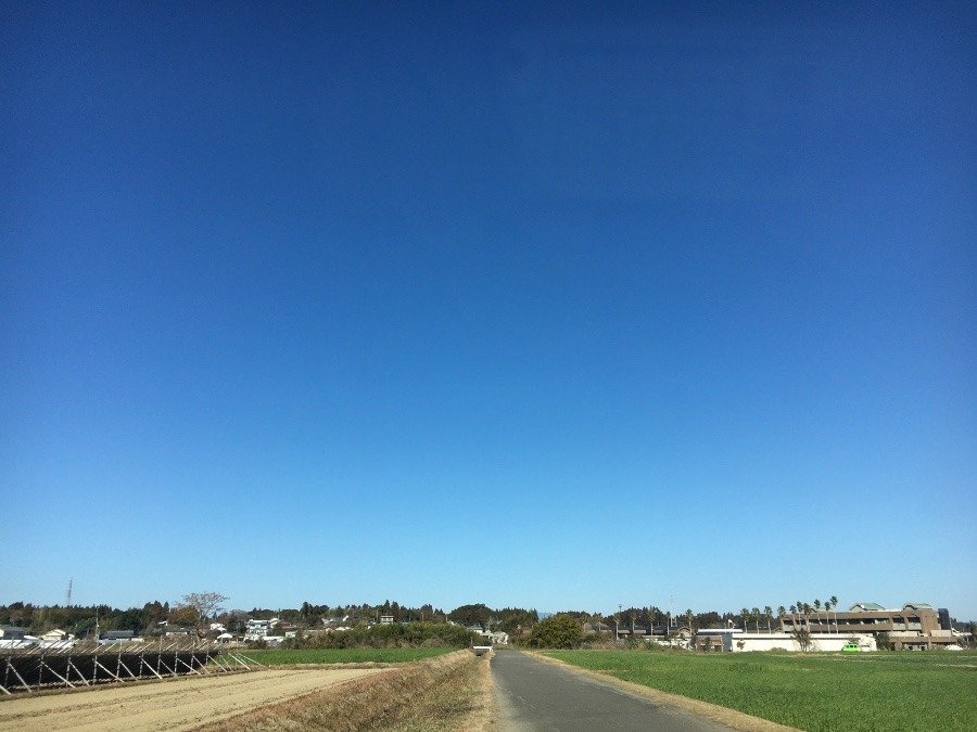 ⭕️空部→ 今日の空（≧∇≦）‼️1049.