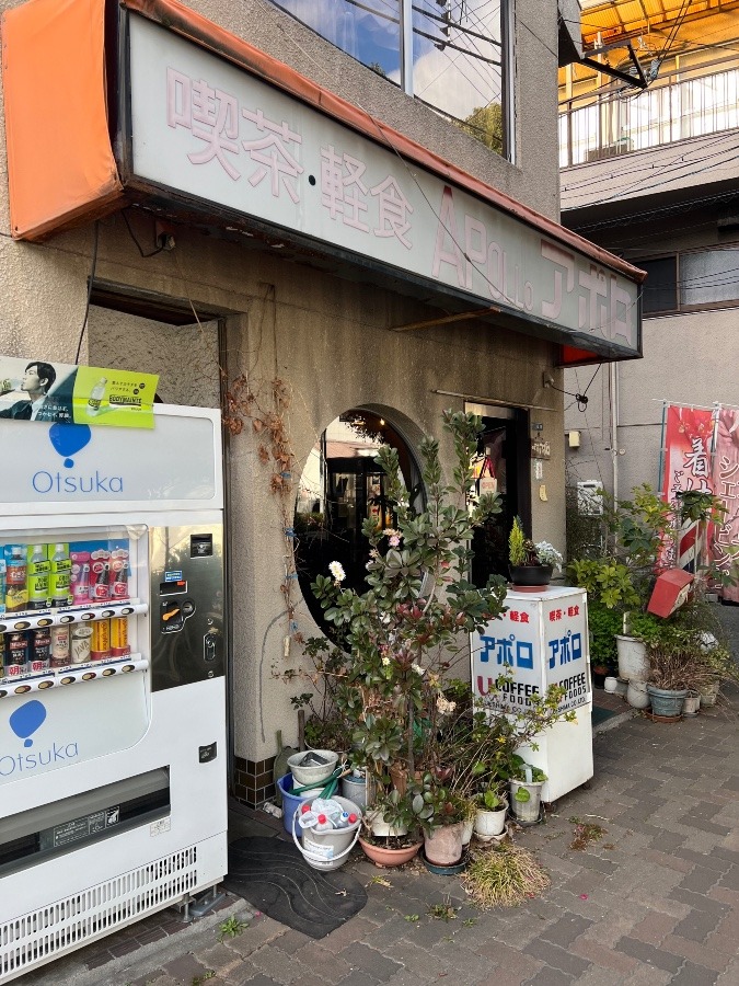 喫茶店☕️😍✨