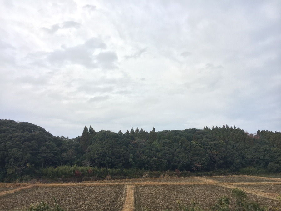 ⭕️空部→ 今日の空（≧∇≦）‼️1018.