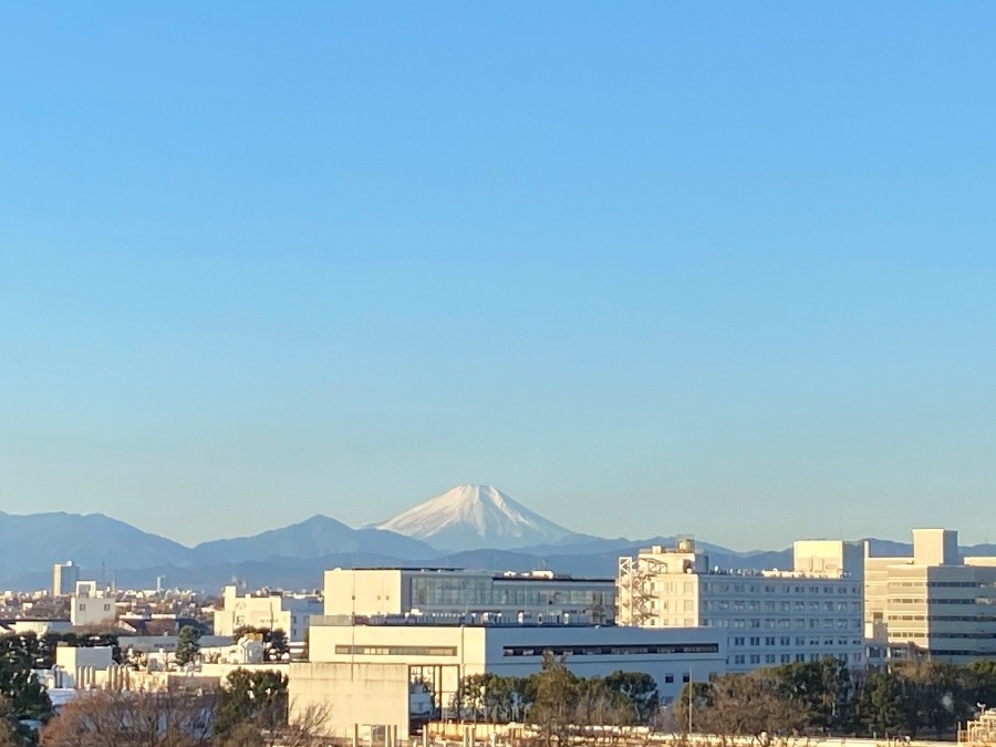 今朝の富士山