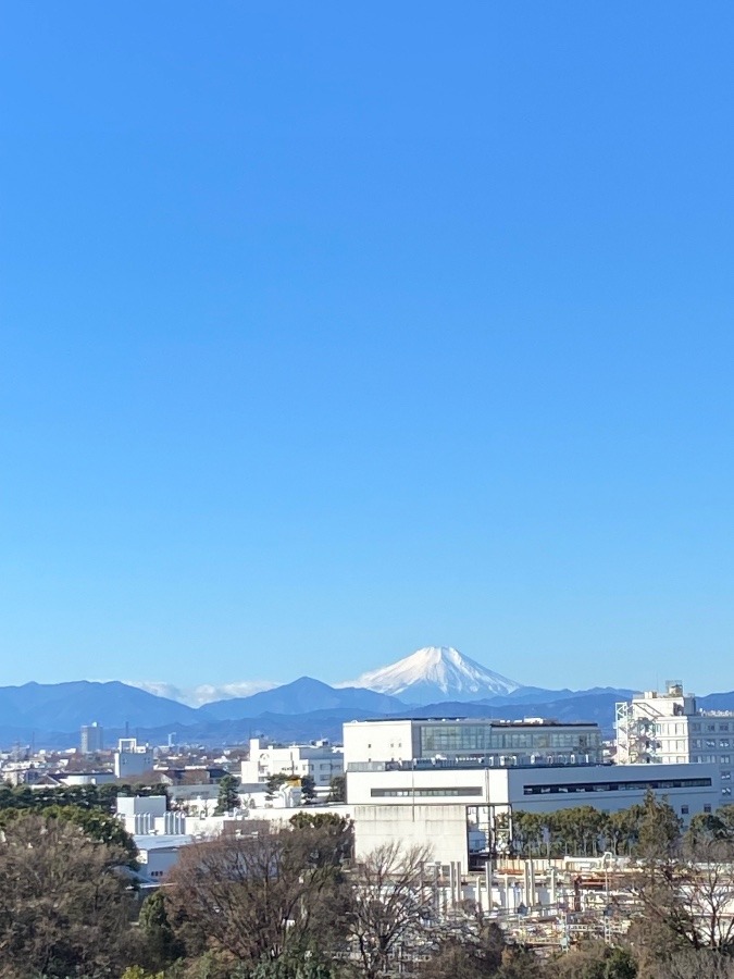 快晴の富士山